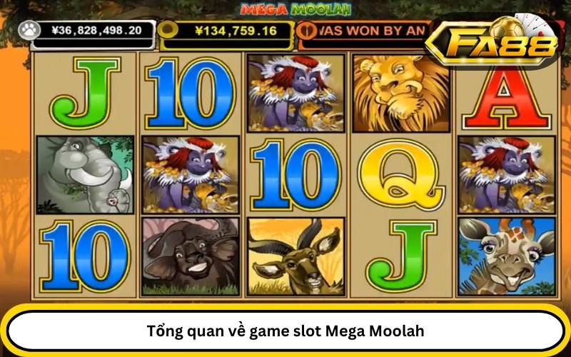 Tổng quan về game slot Mega Moolah